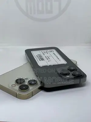 Apple iPhone 13 Pro (Used)