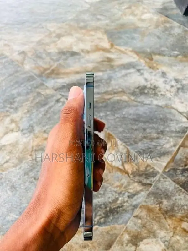 Apple iPhone 13 Pro (Used)