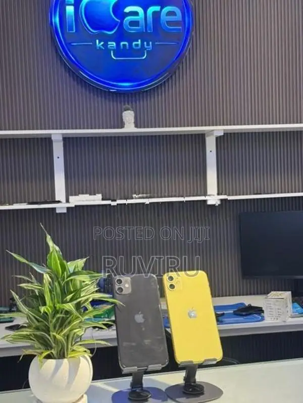 Apple iPhone 11 (Used)