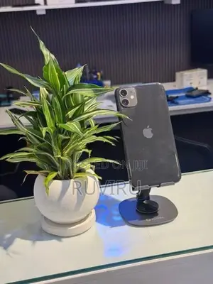 Apple iPhone 11 (Used)