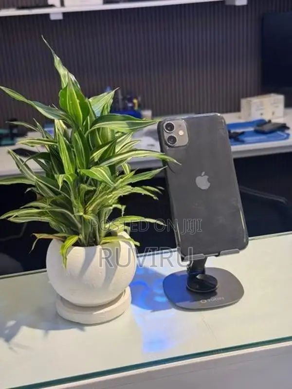 Apple iPhone 11 (Used)