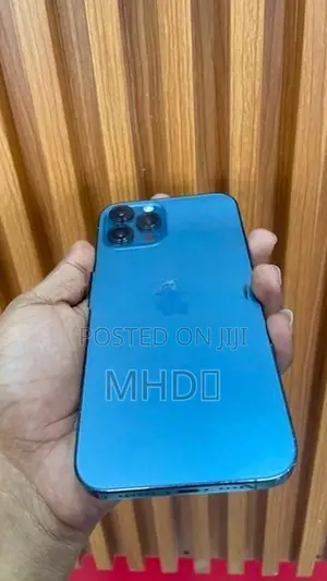 Apple iPhone 12 Pro Max (Used)