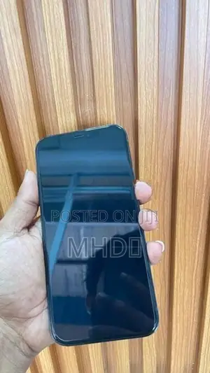 Apple iPhone 12 Pro Max (Used)