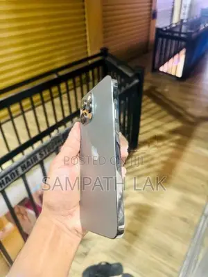 Apple iPhone 12 Pro Max (Used)