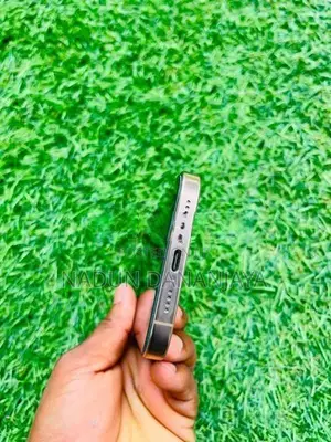 Apple iPhone 16 Pro Max (Used)