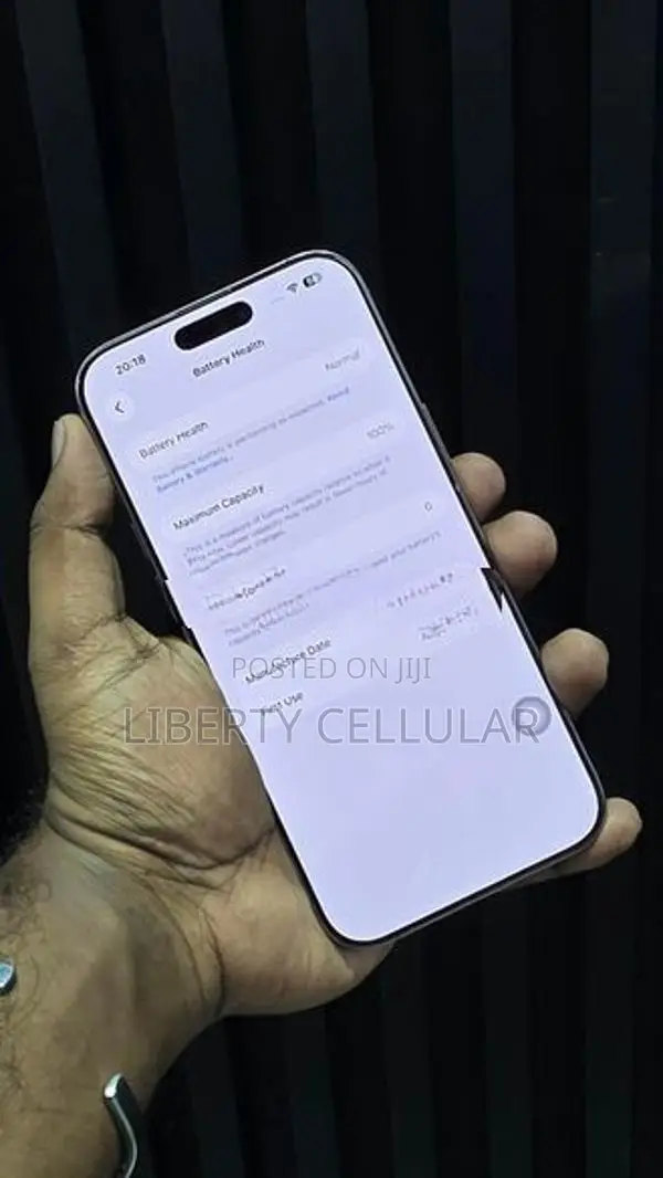 Apple iPhone 16 Pro Max 256GB (Used)