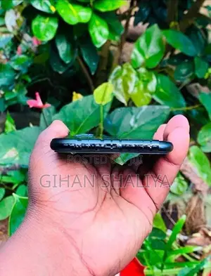 Apple iPhone 7 Plus (Used)
