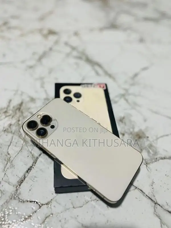 Apple iPhone 13 Pro Max (Used)