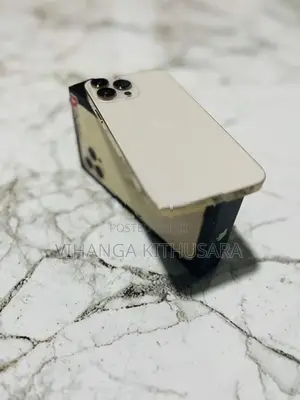 Apple iPhone 13 Pro Max (Used)