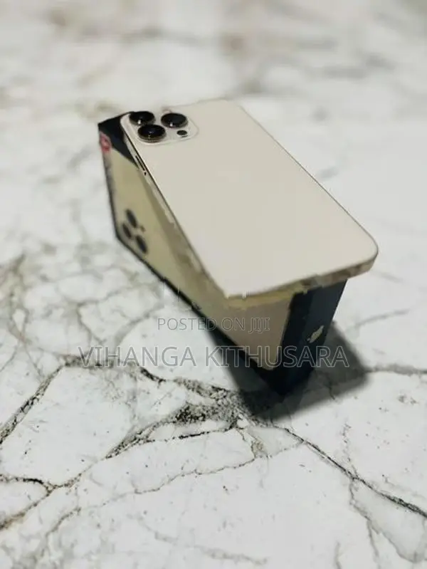 Apple iPhone 13 Pro Max (Used)