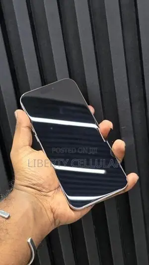 Apple iPhone 16 Pro Max 256GB (Used)