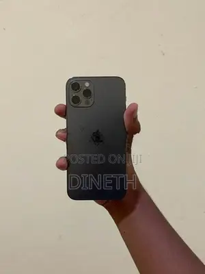 Apple iPhone 12 Pro (Used)