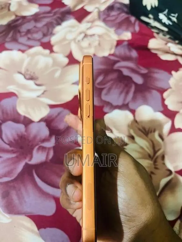 Apple iPhone 17 Pro Max (Used)