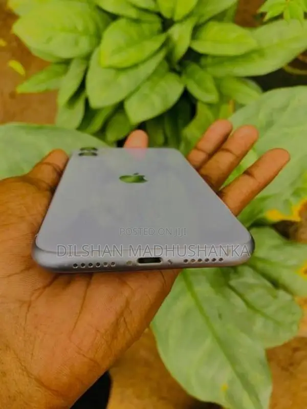 Apple iPhone 11 (Used)