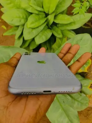 Apple iPhone 11 (Used)