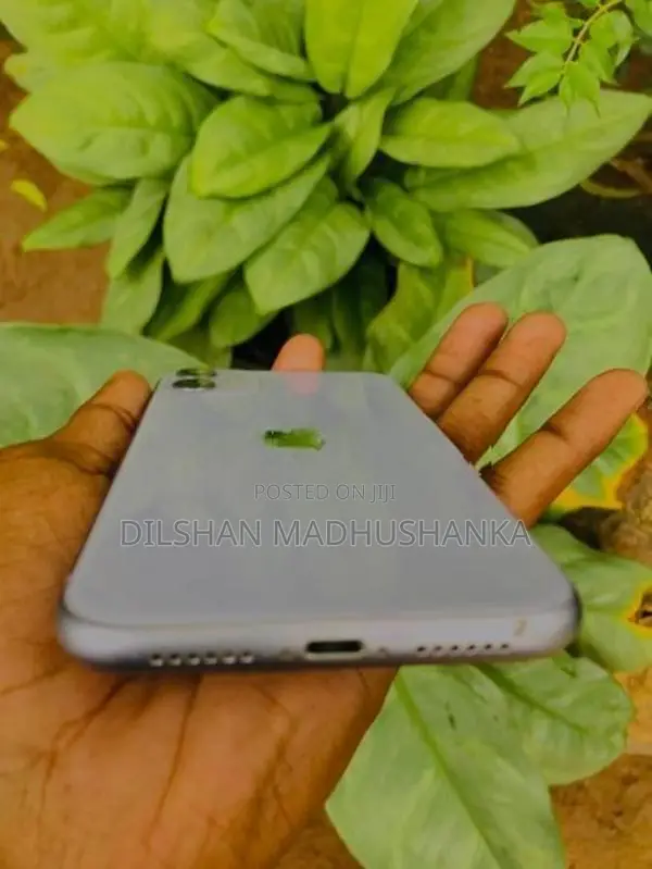 Apple iPhone 11 (Used)