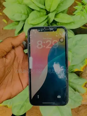 Apple iPhone 11 (Used)