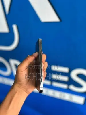 Apple iPhone 12 Pro 256GB (Used)