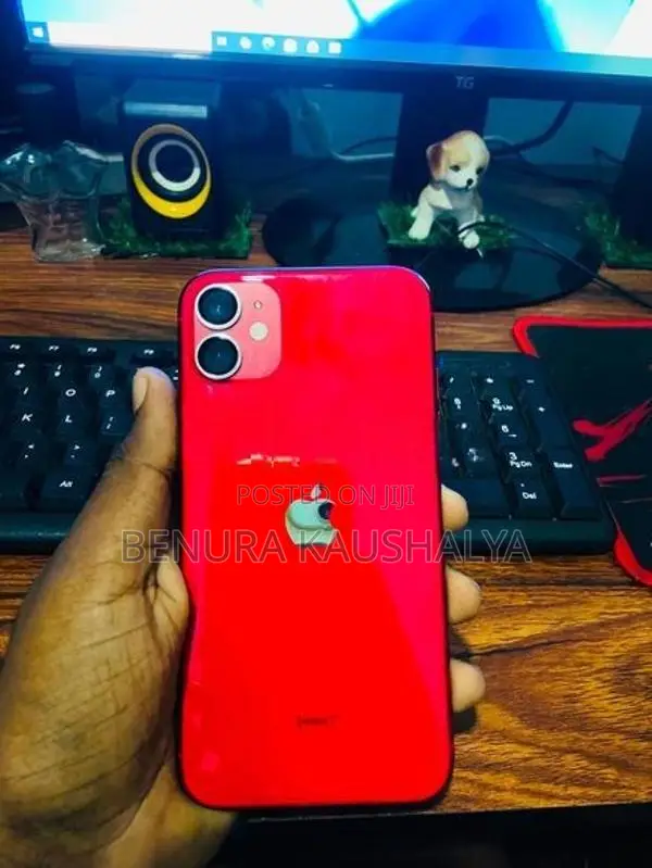 Apple iPhone 11 (Used)