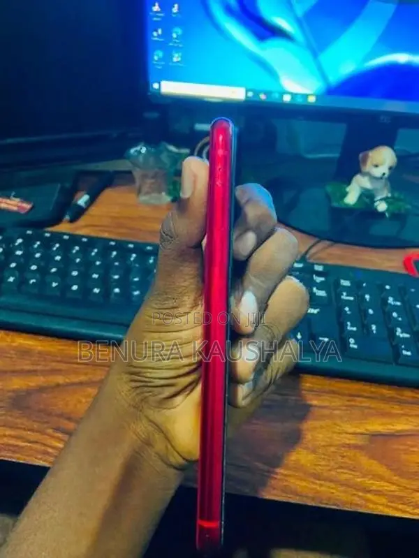 Apple iPhone 11 (Used)
