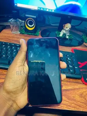 Apple iPhone 11 (Used)