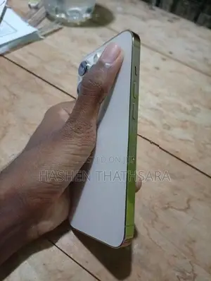 Apple iPhone 13 Pro (Used)