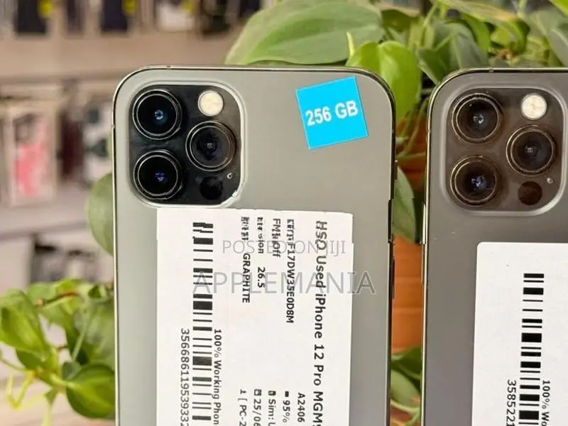 Apple iPhone 12 Pro 256GB (Used)