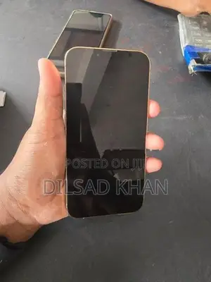 Apple iPhone 13 Pro (Used)