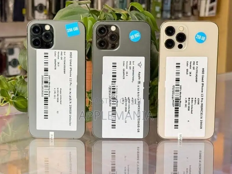 Apple iPhone 12 Pro 256GB (Used)