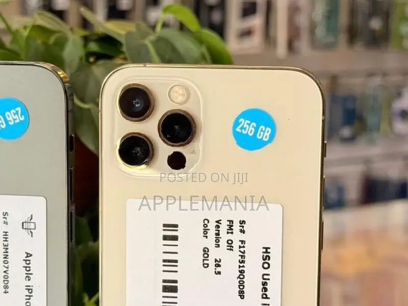 Apple iPhone 12 Pro 256GB (Used)