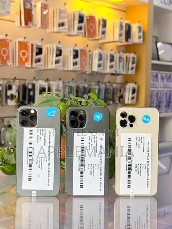 Apple iPhone 12 Pro 256GB (Used)