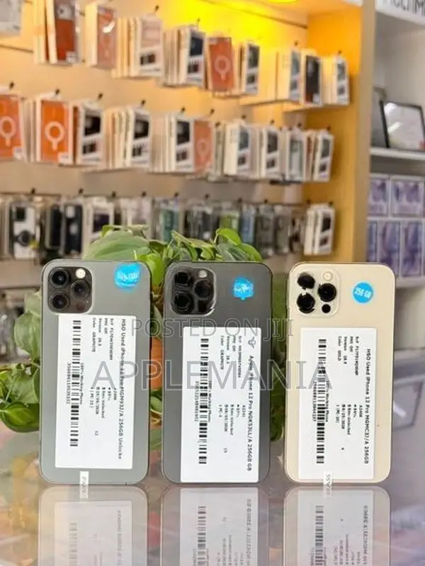 Apple iPhone 12 Pro 256GB (Used)