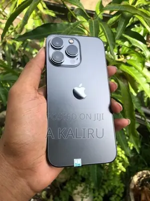Apple iPhone 13 Pro (Used)