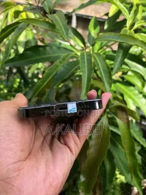 Apple iPhone 13 Pro (Used)