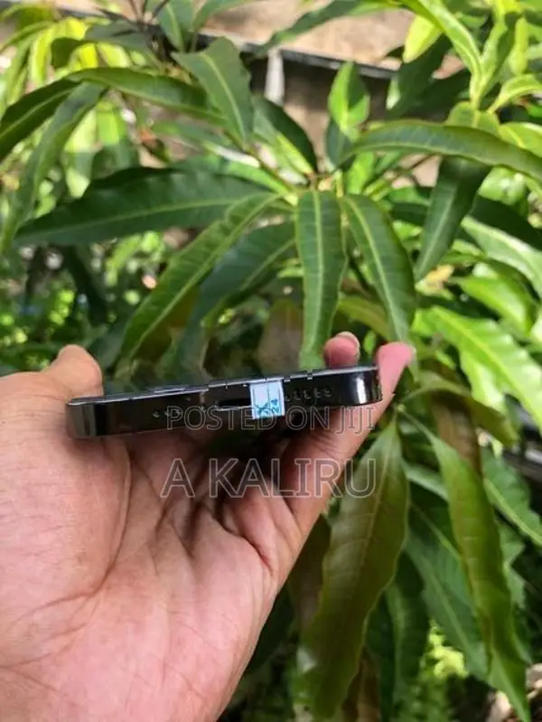 Apple iPhone 13 Pro (Used)