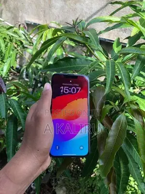 Apple iPhone 13 Pro (Used)