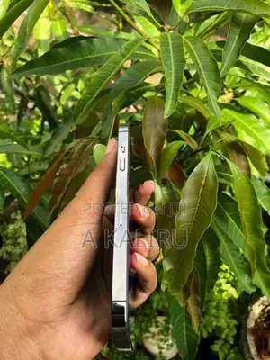 Apple iPhone 13 Pro (Used)