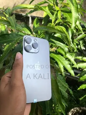 Apple iPhone 13 Pro (Used)