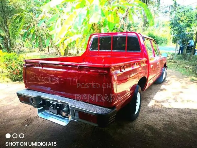 Nissan Nissan 1981 Pickup (Used)