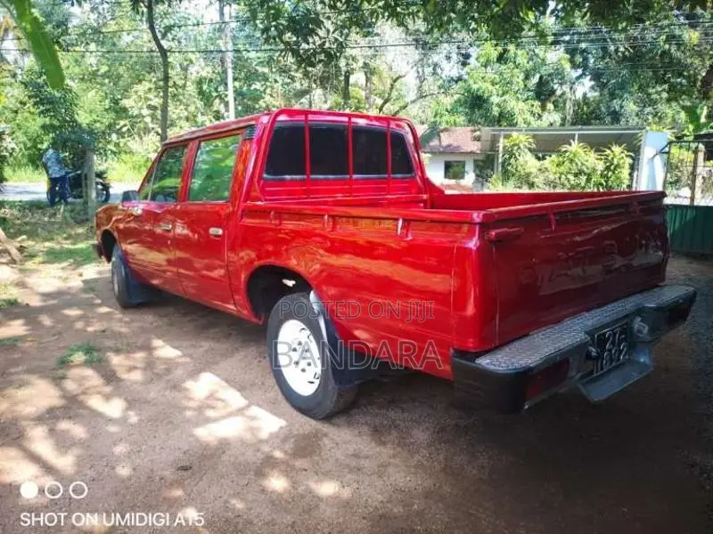 Nissan Nissan 1981 Pickup (Used)