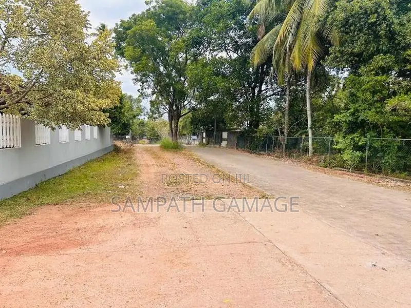 Land for Sale in Gampaha Minuwangoda