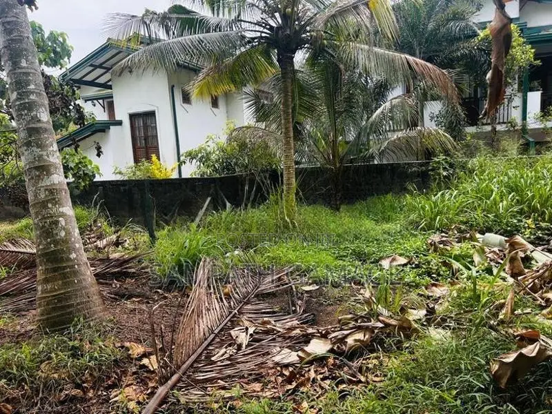 Land for Sale in Gampaha Minuwangoda