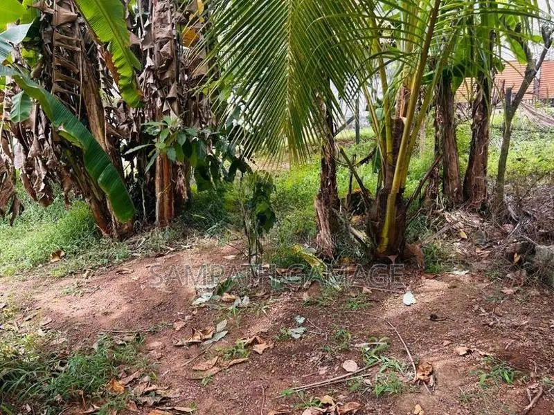 Land for Sale in Gampaha Minuwangoda