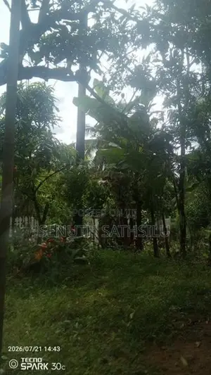Kirindiwela Land for Sale