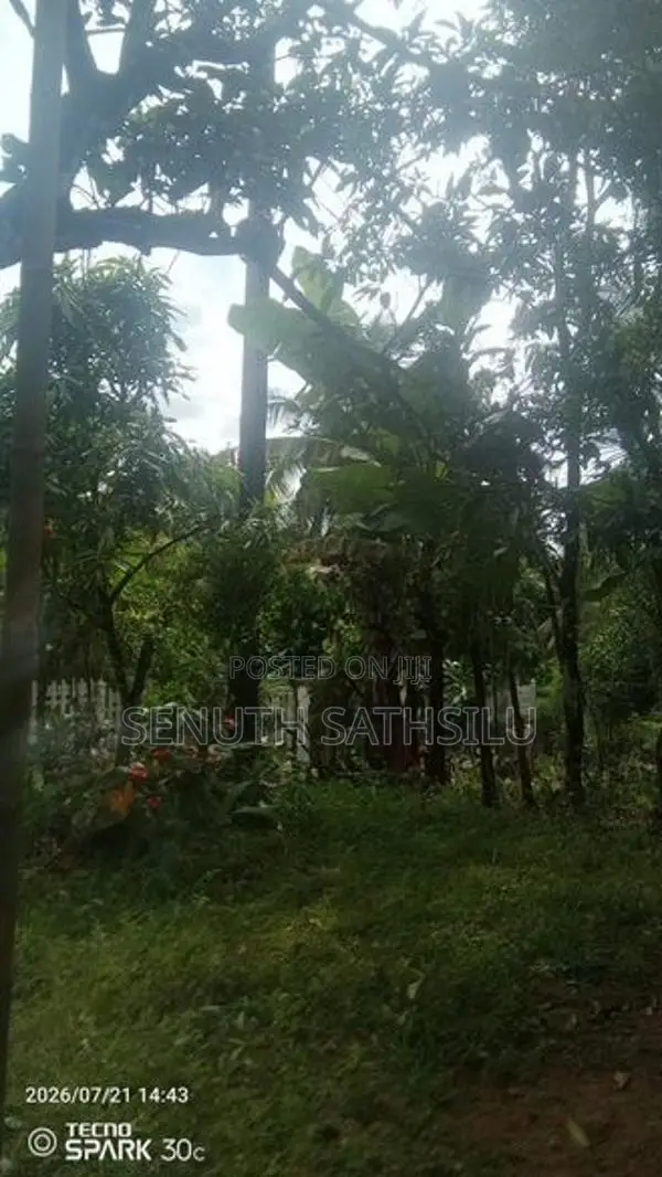 Kirindiwela Land for Sale