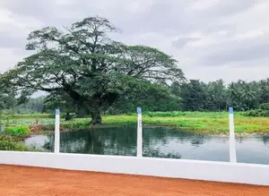 Land for Sale in Melsiripura M04