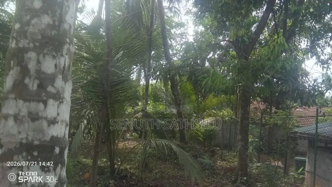 Kirindiwela Land for Sale