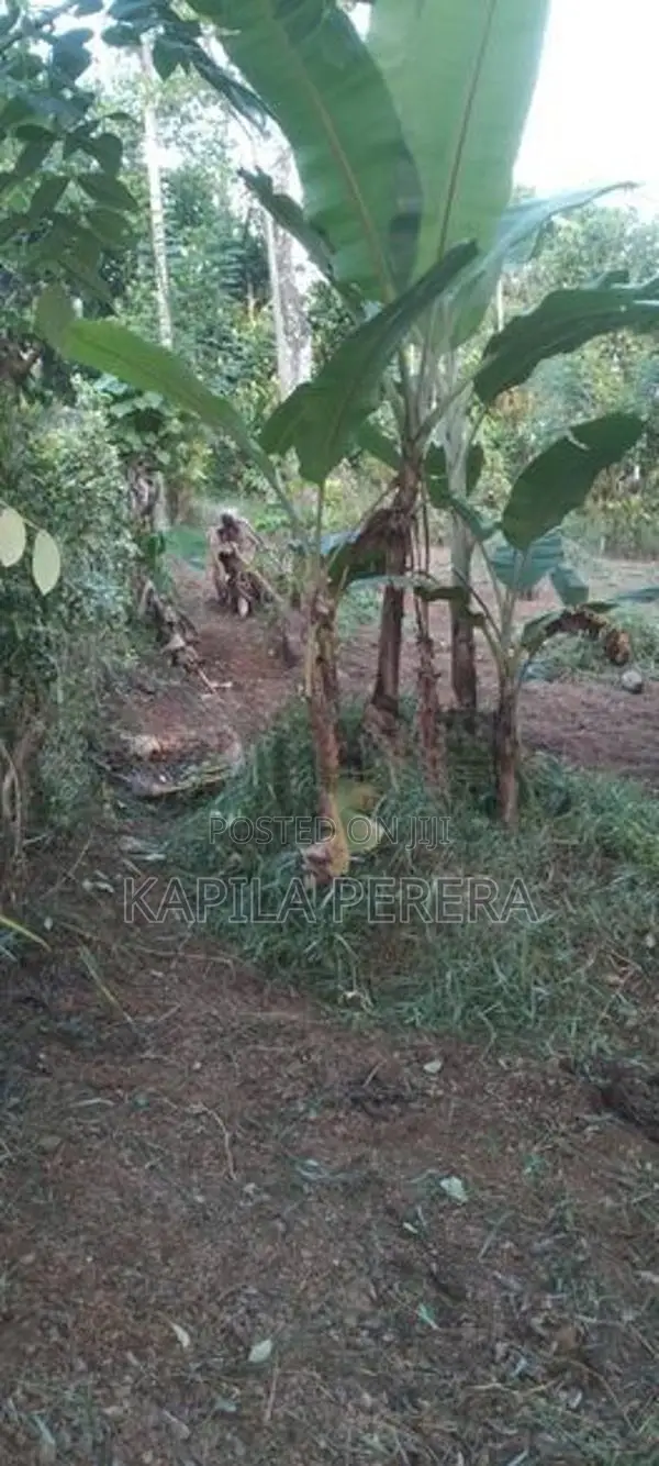 Land for Sale in Kahathuduwa