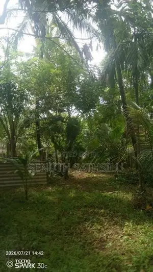 Kirindiwela Land for Sale