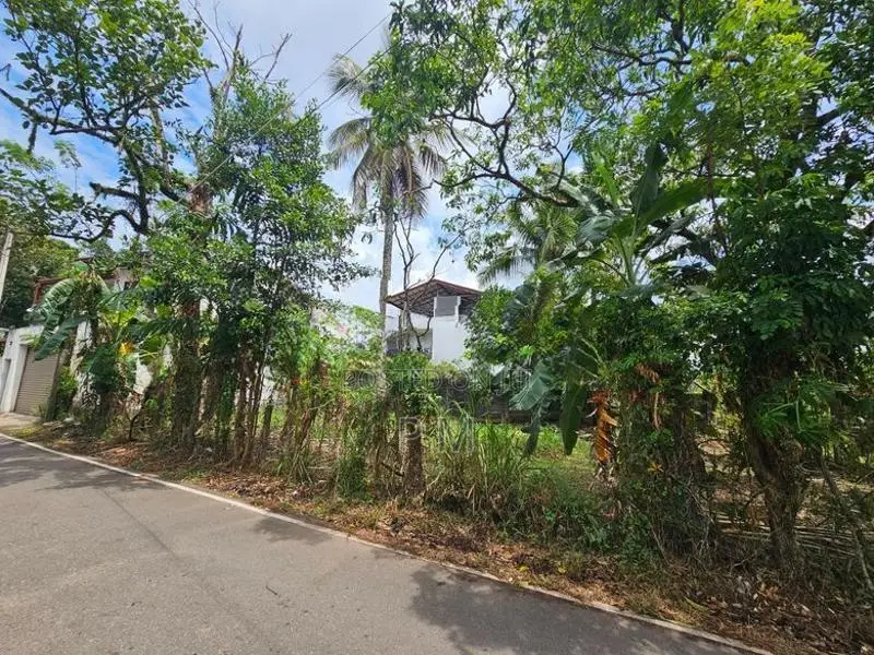 Pannipitiya Land for Sale